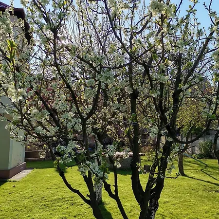 W Dworku Pod Twierdza Klodzko