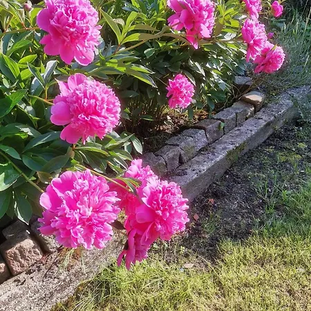 W Dworku Pod Twierdza Apartment *