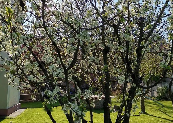 W Dworku Pod Twierdza Клодзко