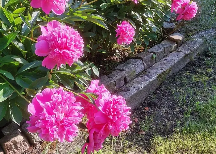 W Dworku Pod Twierdza Апартаменты *